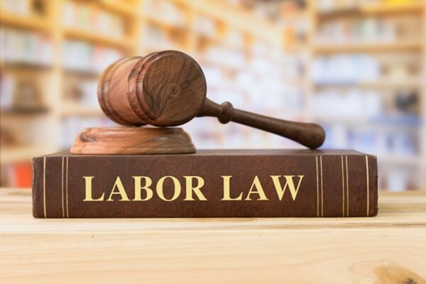 Labor law book